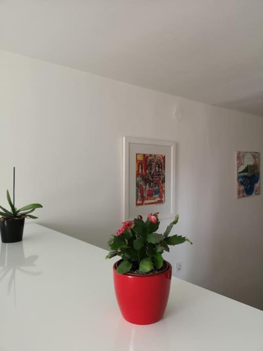 Studio Apartment Ivana - New Sweet Apartment Dubrovnik Exterior photo